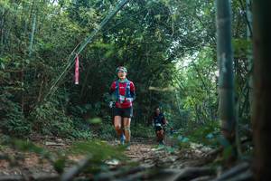 BIB: 
                            <button type="button" onclick="openModal(28024566)" class="btn btn-primary btn-sm float-right btn-popup" data-toggle="modal" data-target=".modal-high-quality">
                        <i class="fas fa-shopping-cart"></i> Add to Cart
                    </button>
                                            <button type="button" onclick="isThisMe(28024566, true)" class="btn btn-success btn-sm float-right btn-popup btn-isme hidden" data-toggle="tooltip" data-placement="bottom" title="นี่คือรูปของคุณใช่ไหม คลิกที่นี่เพื่อเอาเข้าอัลบั้ม">
                        <i class="fas fa-plus"></i> Add to album
                    </button>
                    <button type="button" onclick="isThisMe(28024566, false)" class="btn btn-warning btn-sm float-right btn-popup btn-isnotme hidden">
                        <i class="fas fa-ban"></i> Remove from album
                    </button>